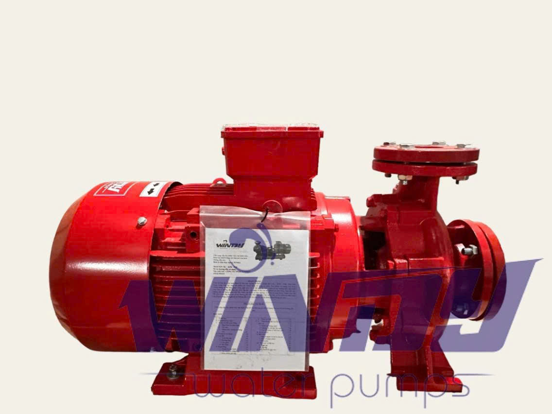 z7562330765650_79a70b416dbc2b49634a67ca30cf28d3